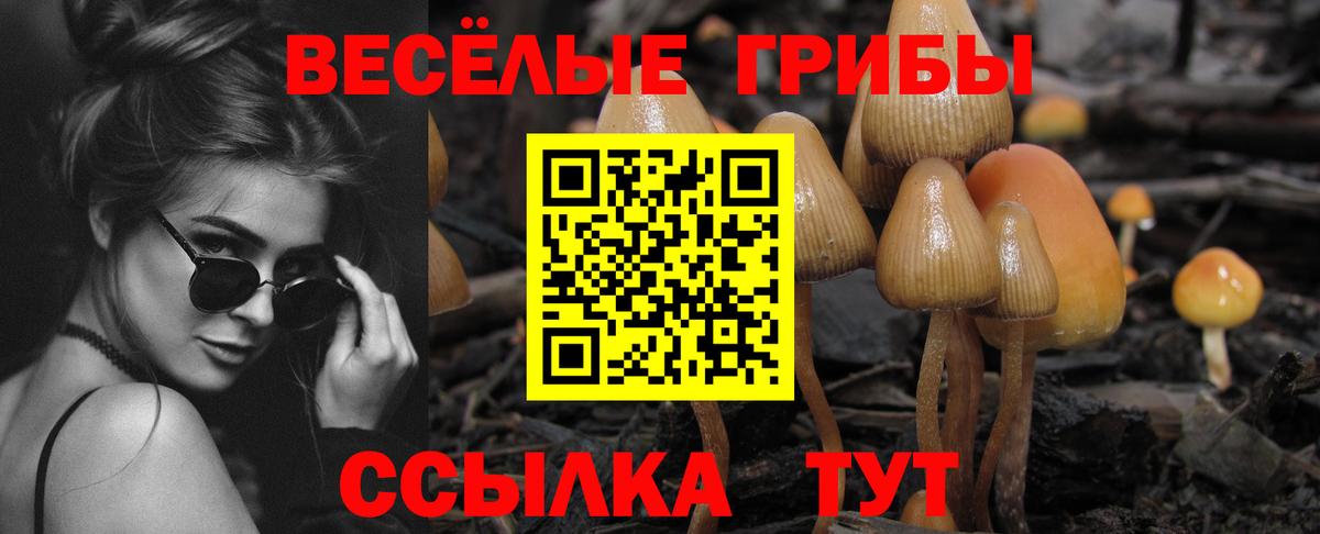 Галлюциногенные грибы Magic Shrooms Кострома